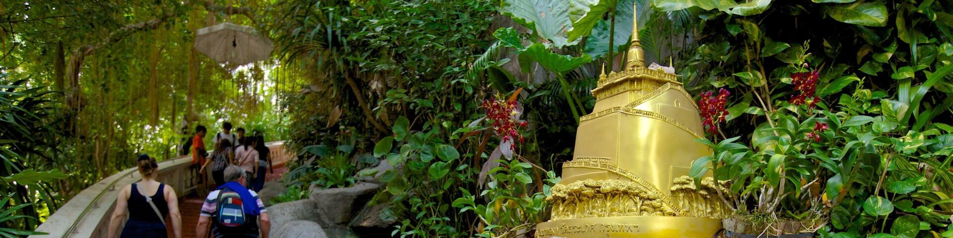 Wat Saket mit einem Regenwald, Beschilderung und Park