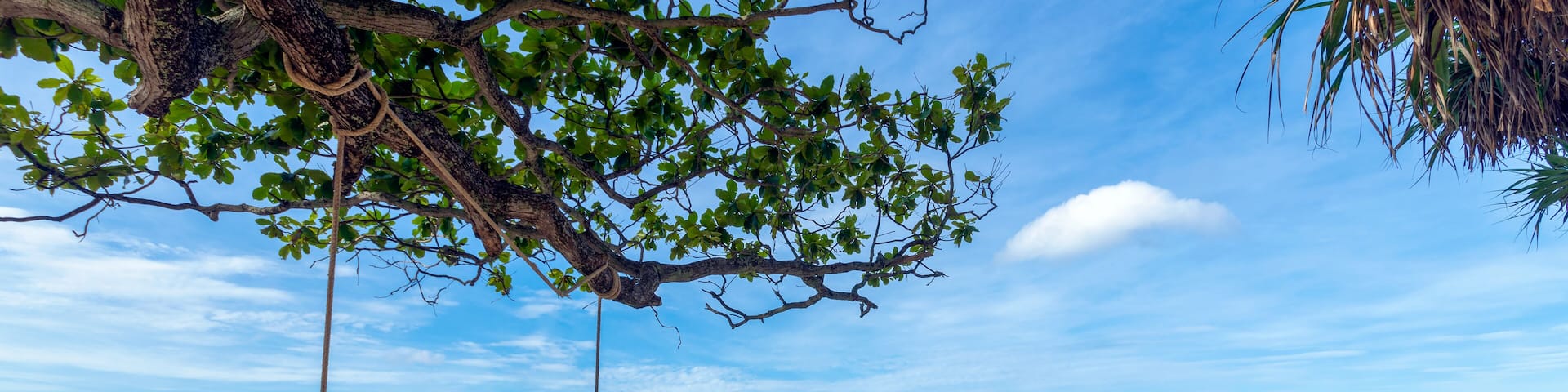 Wooden swing at Kata Beach, Phuket, Thailand on a beautiful day, Shutterstock ID 1293091345, Purchase Order: -