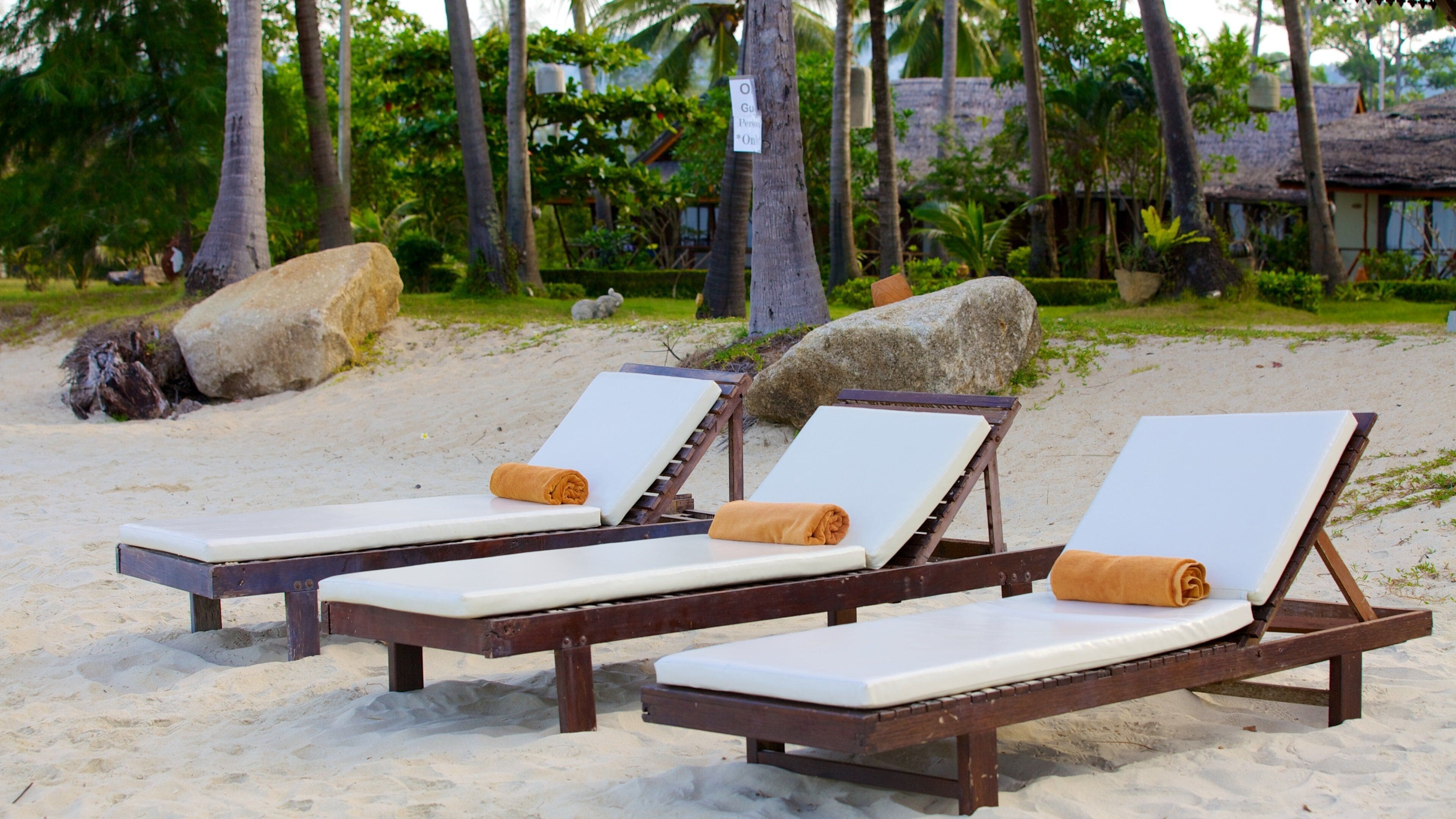 Thong Kut Beach featuring general coastal views, tropical scenes and a sandy beach