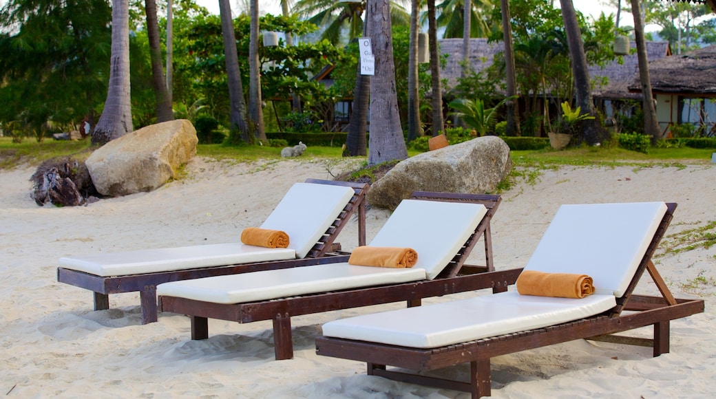 Thong Kut Beach featuring general coastal views, tropical scenes and a sandy beach