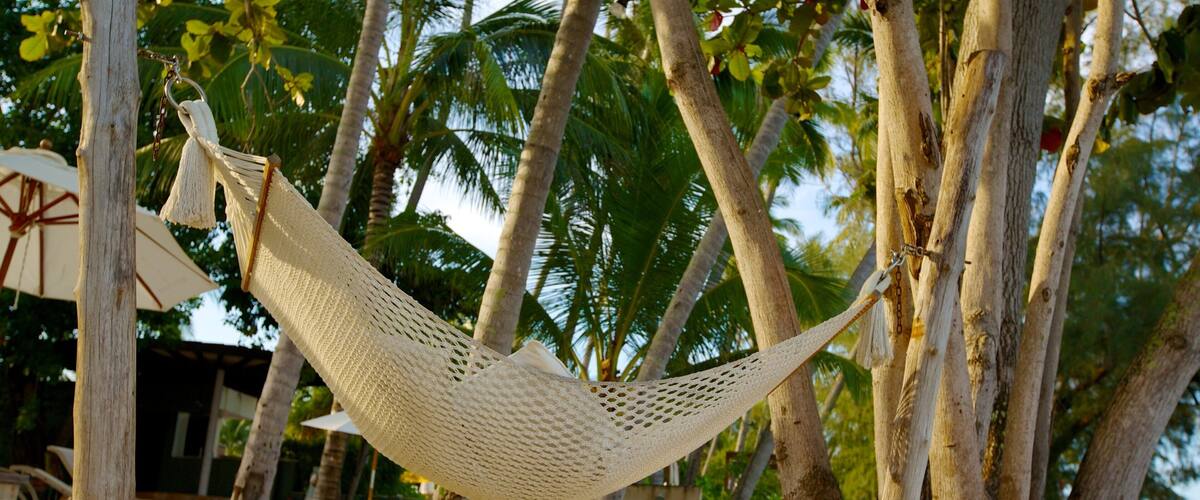 Lipa Noi showing tropical scenes and a beach