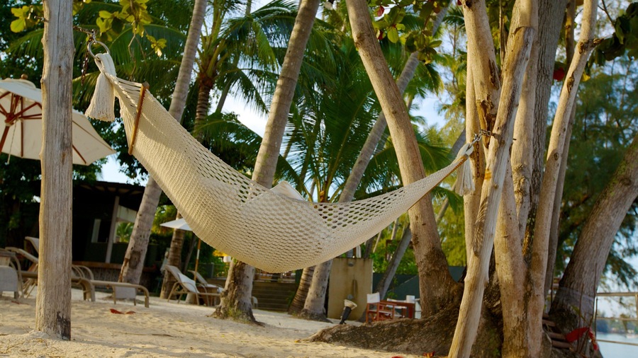 Lipa Noi showing tropical scenes and a beach
