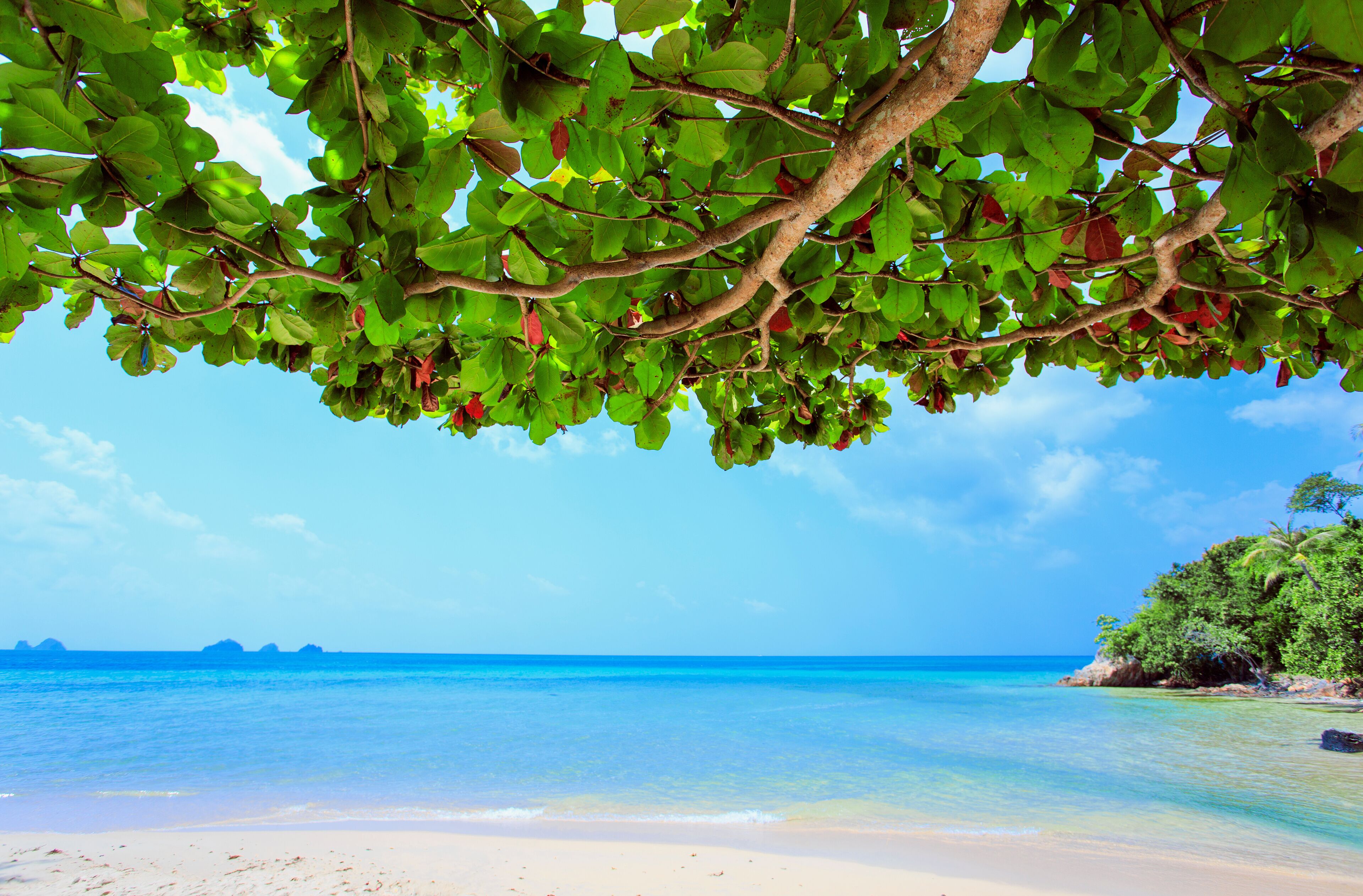Untouched tropical beach of Thailand