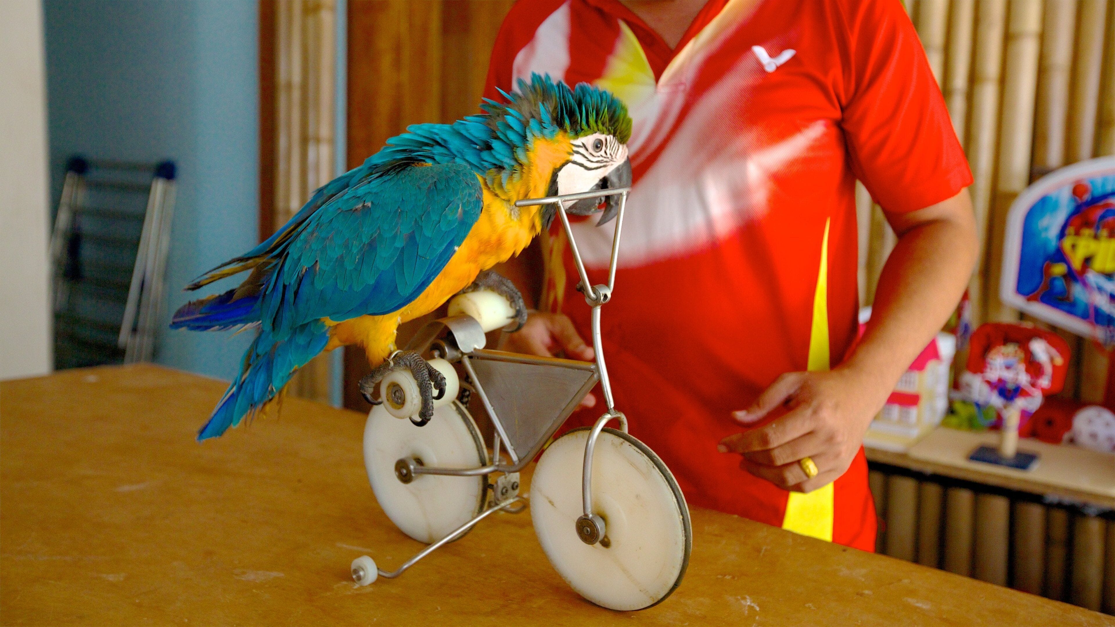 Thong Kut Beach which includes bird life