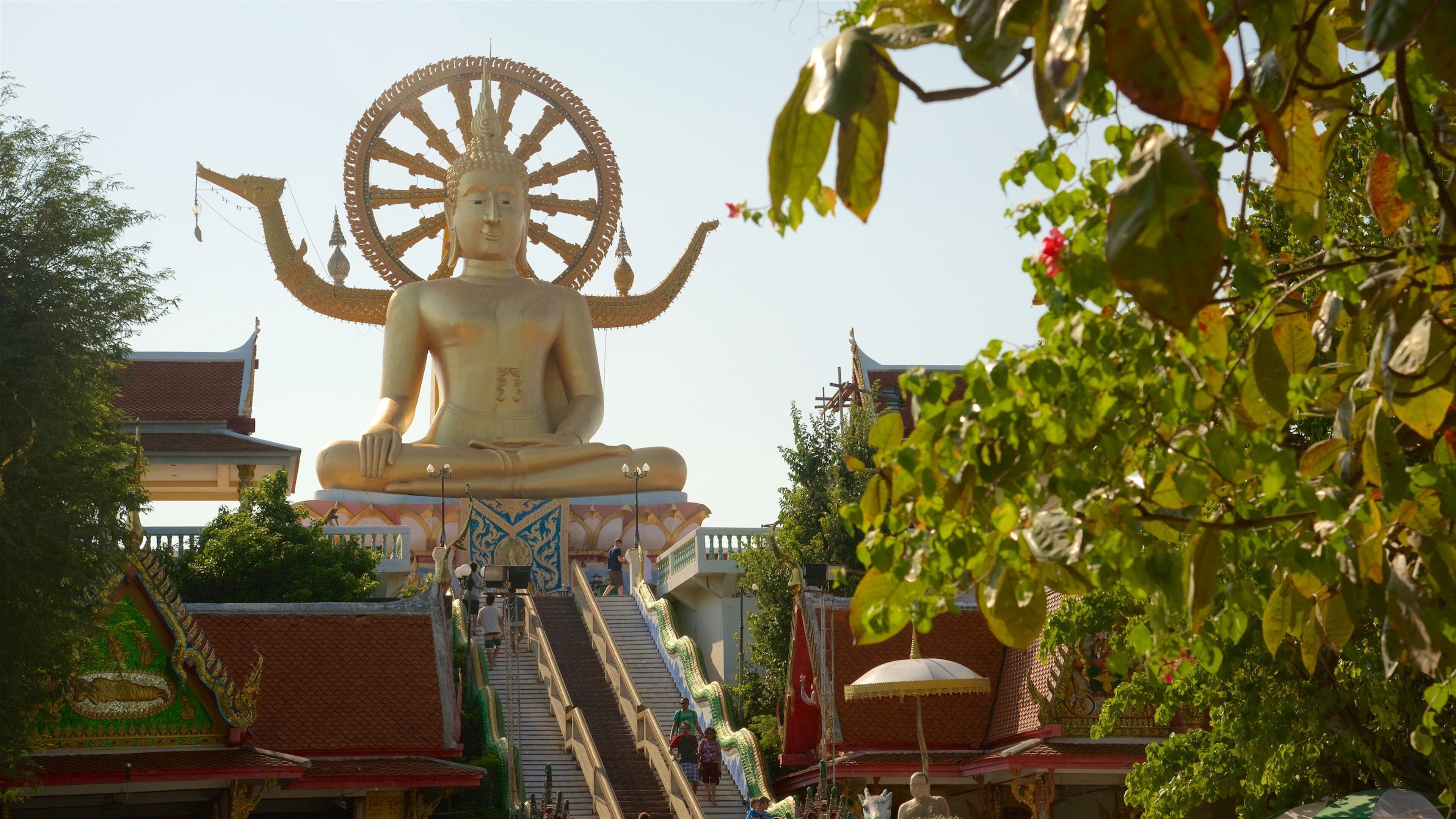 Big Buddha Statue showing a statue or sculpture