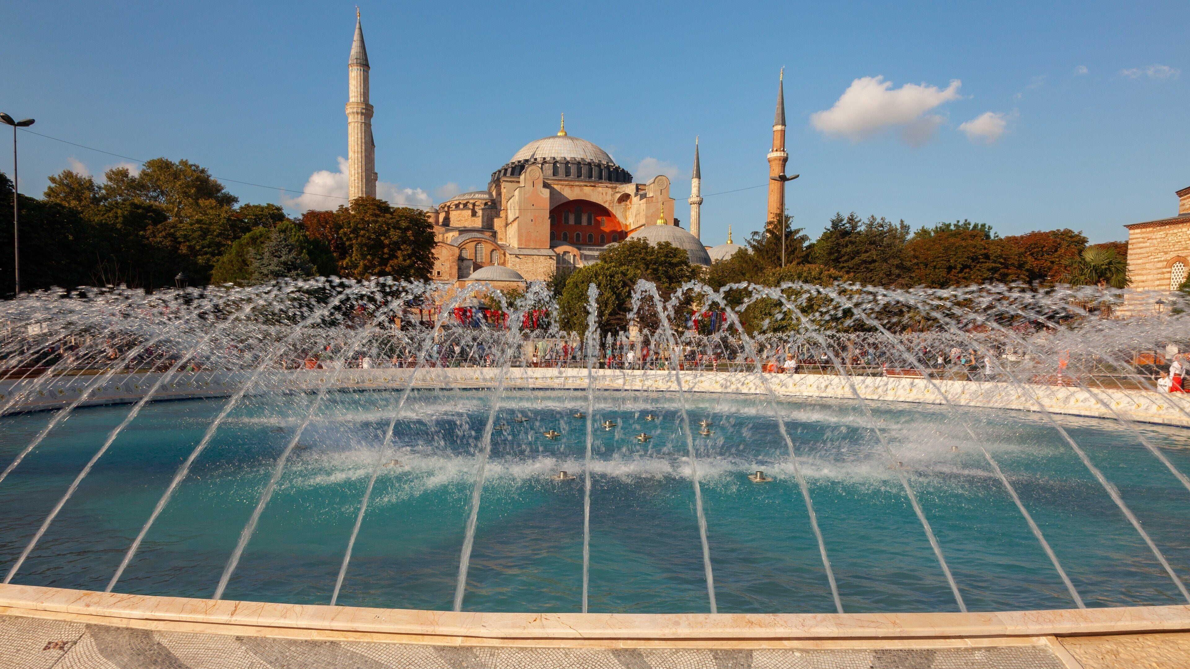 Hagia Sophia showing a pond, a fountain and heritage architecture