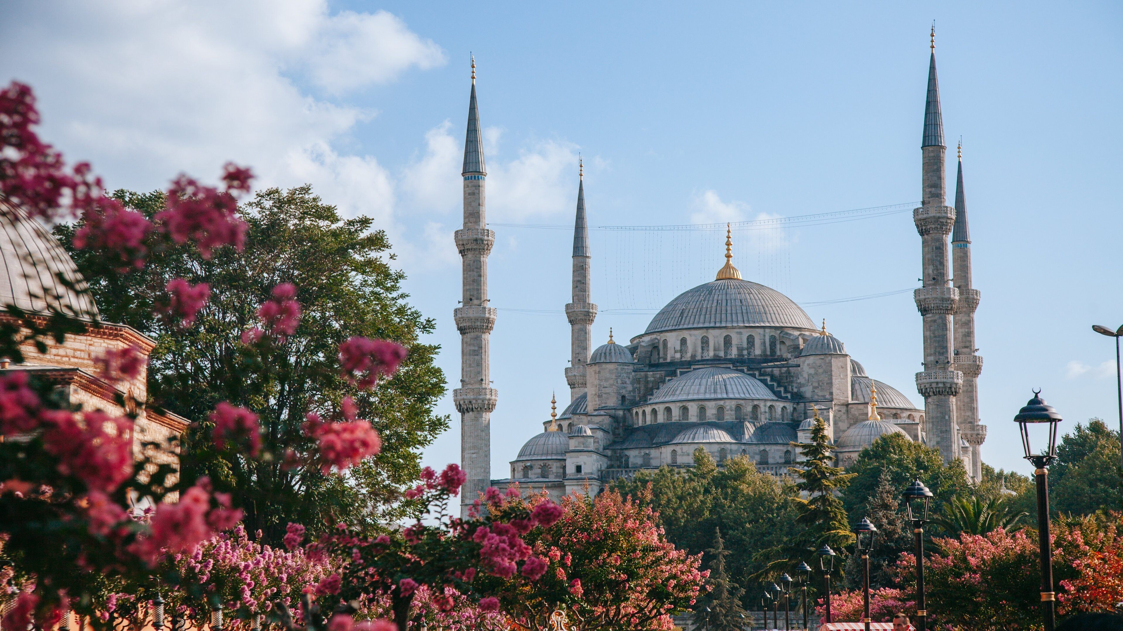 Hagia Sophia which includes heritage architecture and wildflowers