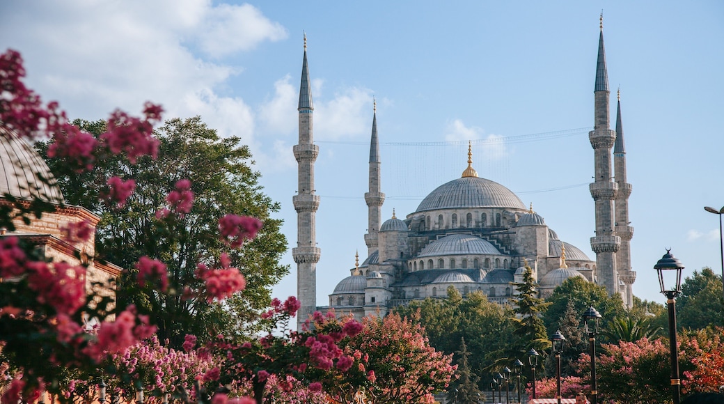 Hagia Sophia which includes heritage architecture and wildflowers