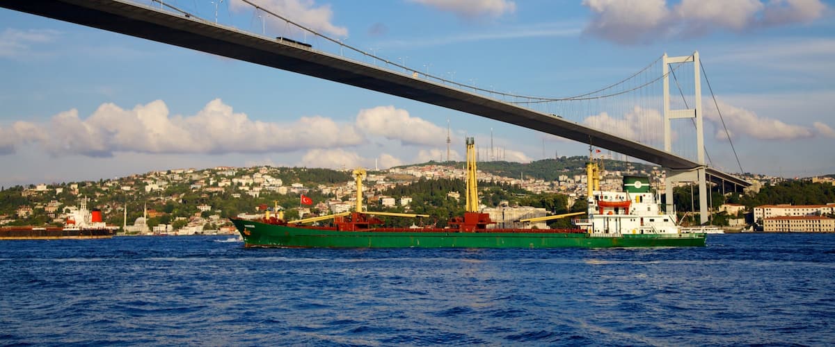 Bosphorus Bridge showing a bridge, a coastal town and a river or creek