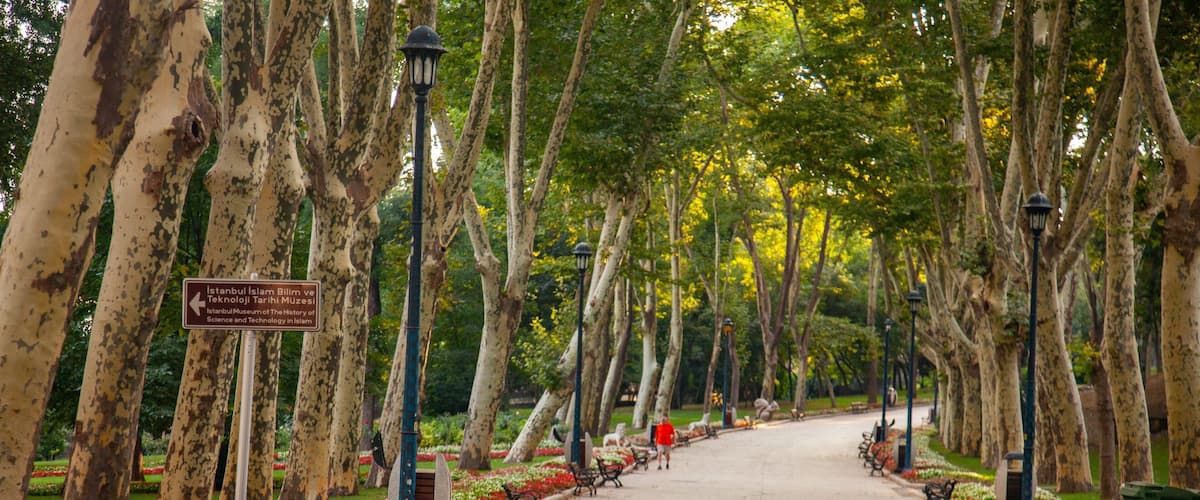 Gulhane Park