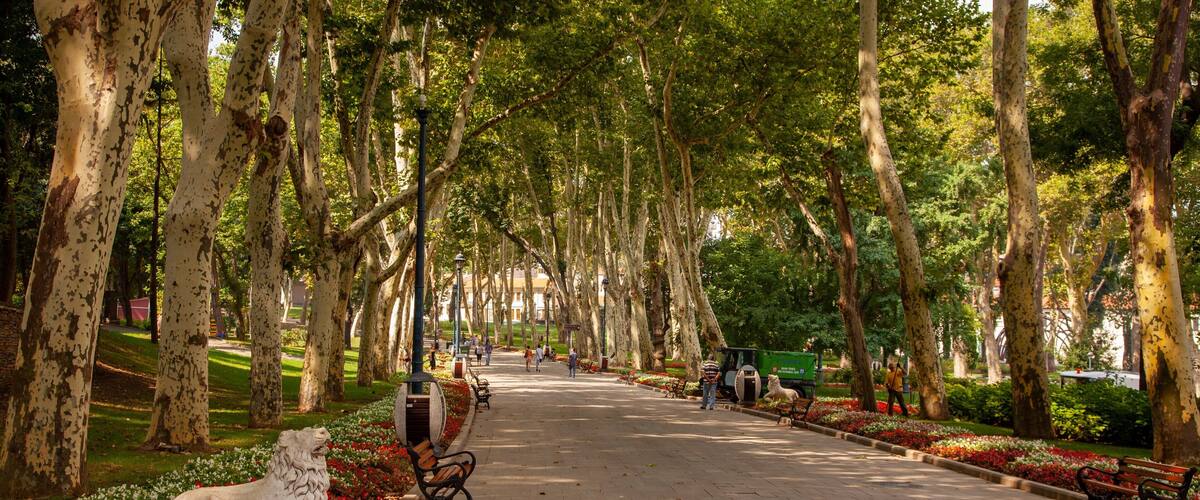 Parque Gülhane ofreciendo un parque
