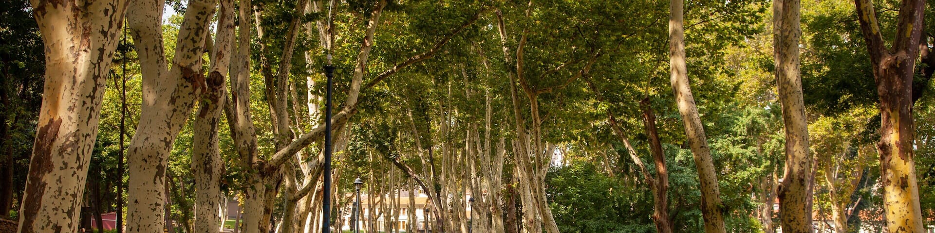 Gülhane-Park das einen Garten