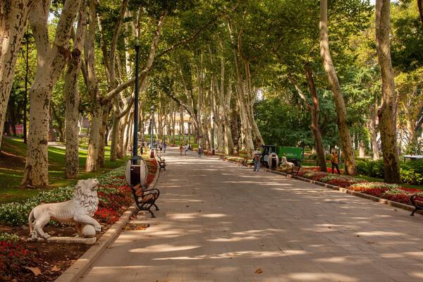 Gulhane Park featuring a park
