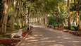 A tree-lined pathway with benches and a statue of a lion.