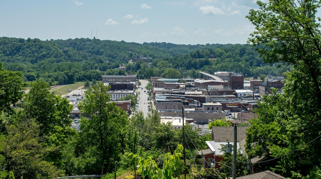 A view of the small town of Hannibal, Missouri from above.