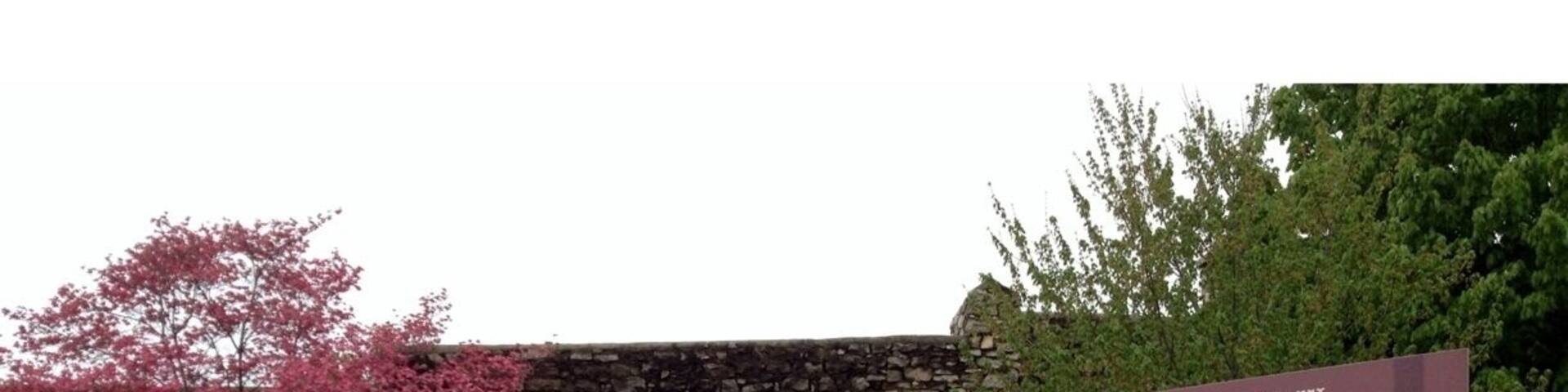 Tour the childhood home of American author Mark Twain, and the world that inspired his famous novels The Adventures of Tom Sawyer and Huck Finn.