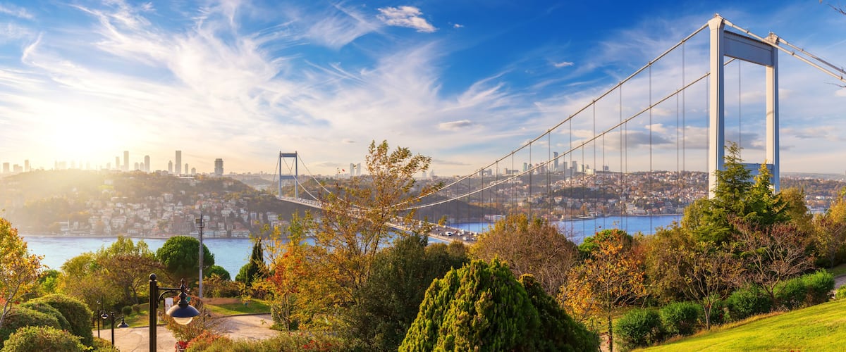 A suspension bridge, a body of water, a city skyline, and autumn foliage.