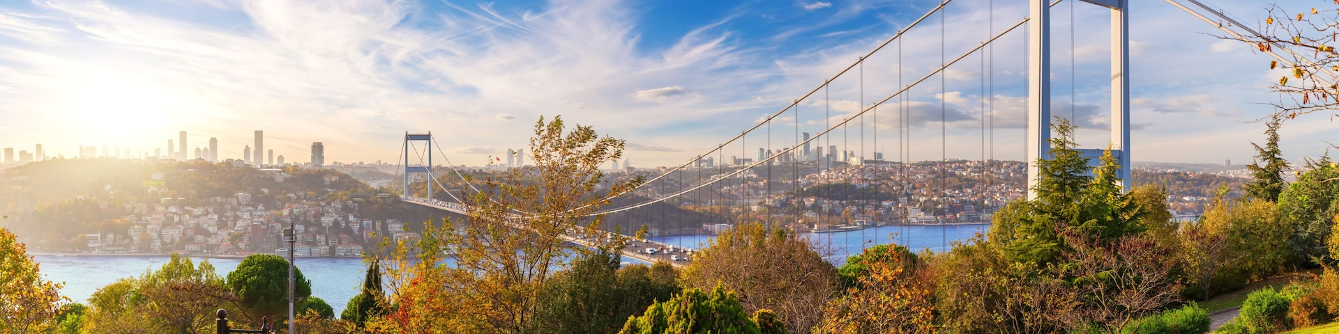 A suspension bridge, a body of water, a city skyline, and autumn foliage.