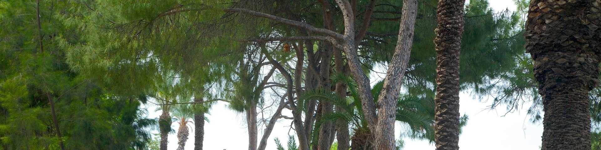 Karaalioglu Park which includes a park and landscape views