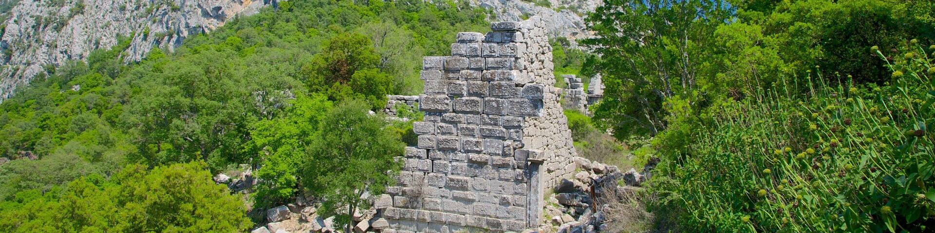 Termessos showing building ruins