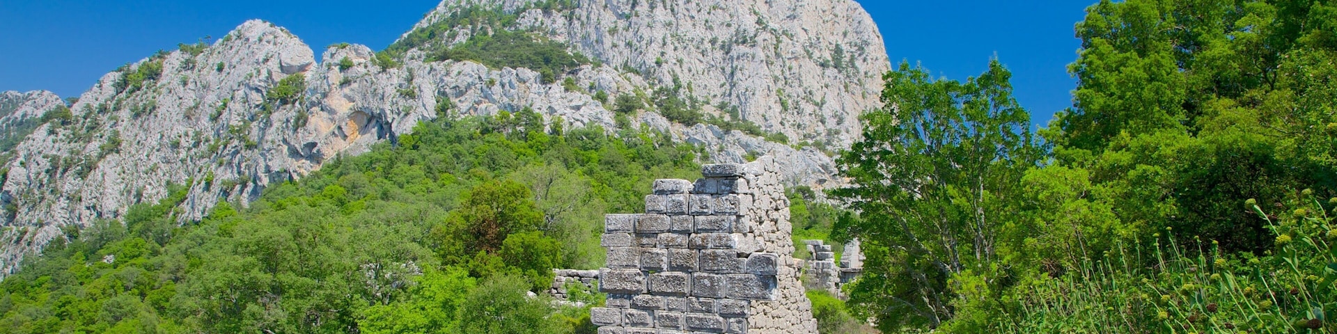 Termessos showing building ruins