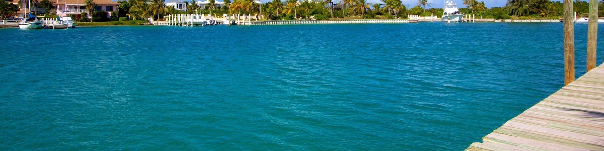 Turtle Cove which includes a bay or harbor, general coastal views and views