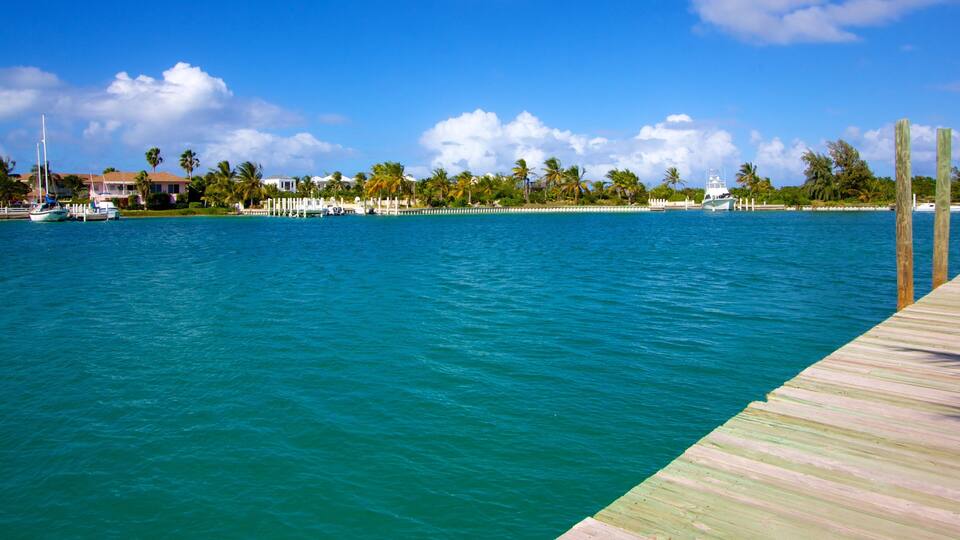 A wooden pier extending into turquoise waters, with a backdrop of palm trees and a clear blue sky.