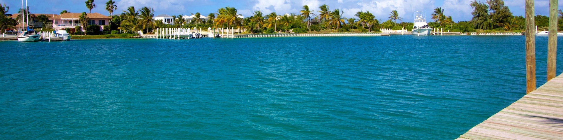 Turtle Cove which includes a bay or harbor, general coastal views and views