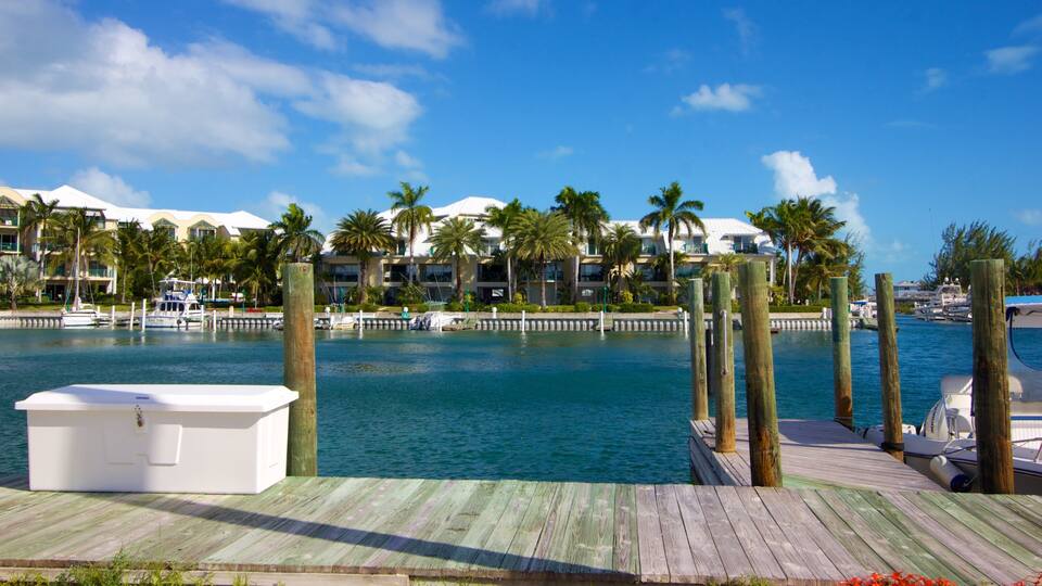 Turtle Cove montrant ville cĂŽtiĂšre, scĂšnes tropicales et baie ou port