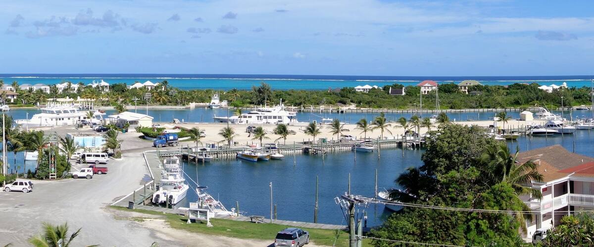 Turtle Cove som viser kystby og marina