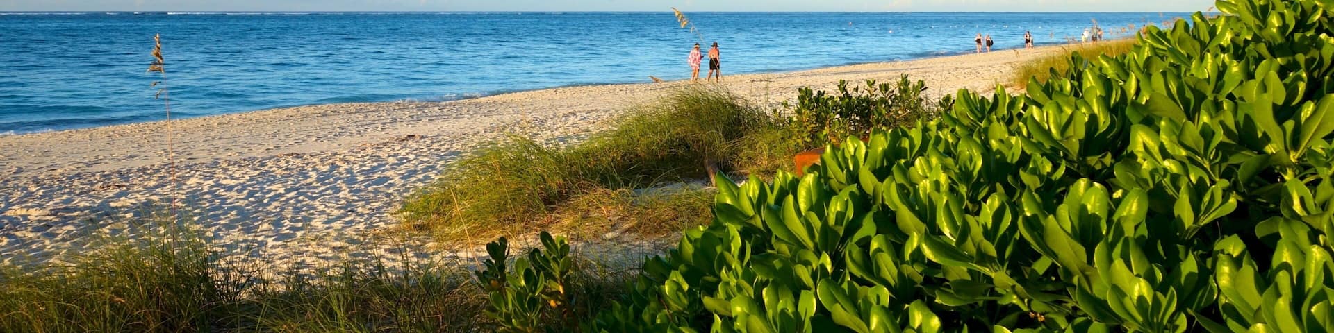 Grace Bay Beach featuring a beach