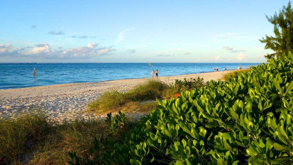 Plage de Grace Bay mettant en vedette plage