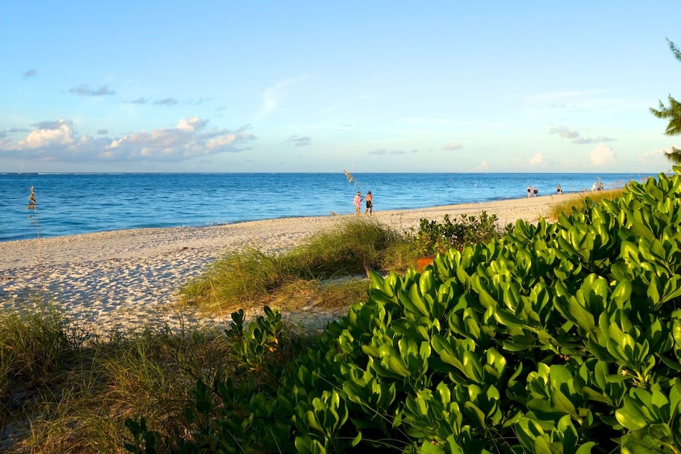 En strand med folk som promenerar, klart blått vatten och grönskande vegetation i förgrunden.
