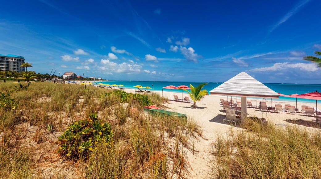 Sand dunes behind a stretch of the long Grace Bay Beach, Providenciales, Turks and Caicos