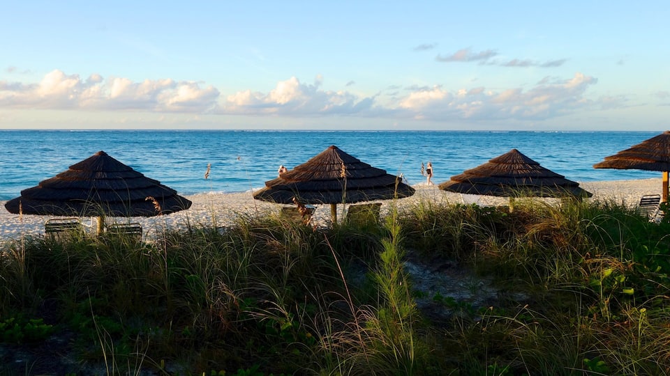 Bãi biển Vịnh Grace trong đó bao gồm bãi biển cát