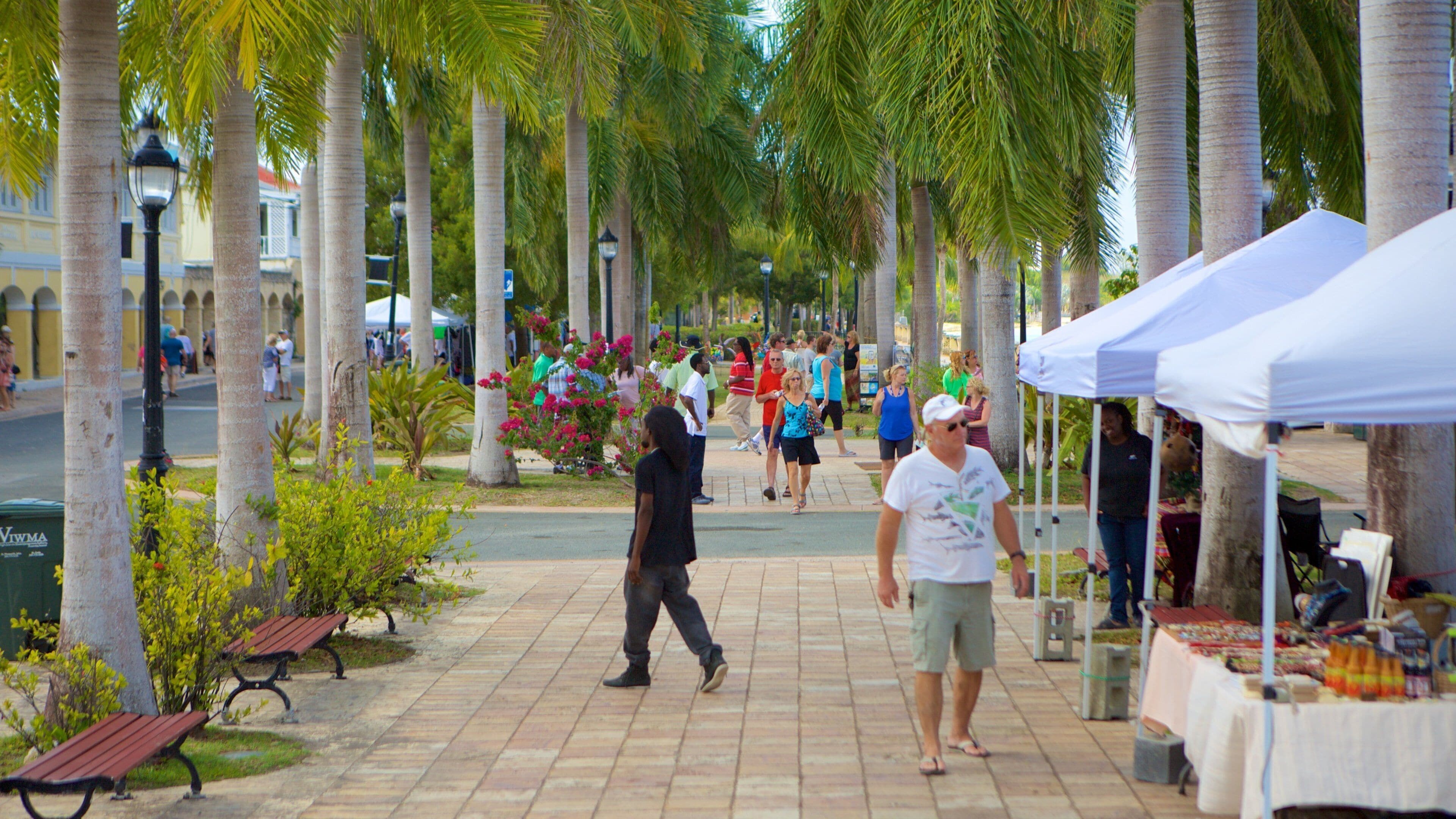 Fort Frederik featuring street scenes