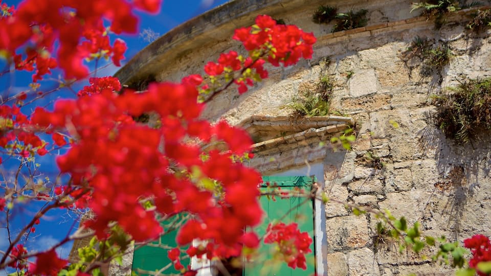 A stone wall with red flowers in the foreground.