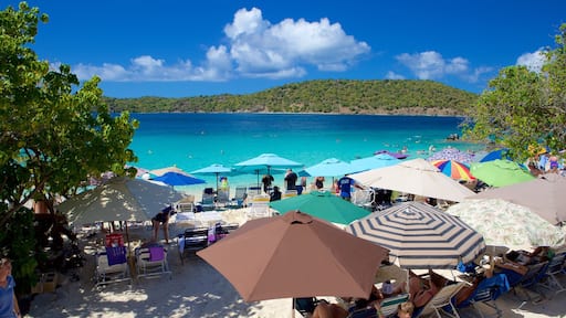 Coki Beach featuring a sandy beach and tropical scenes