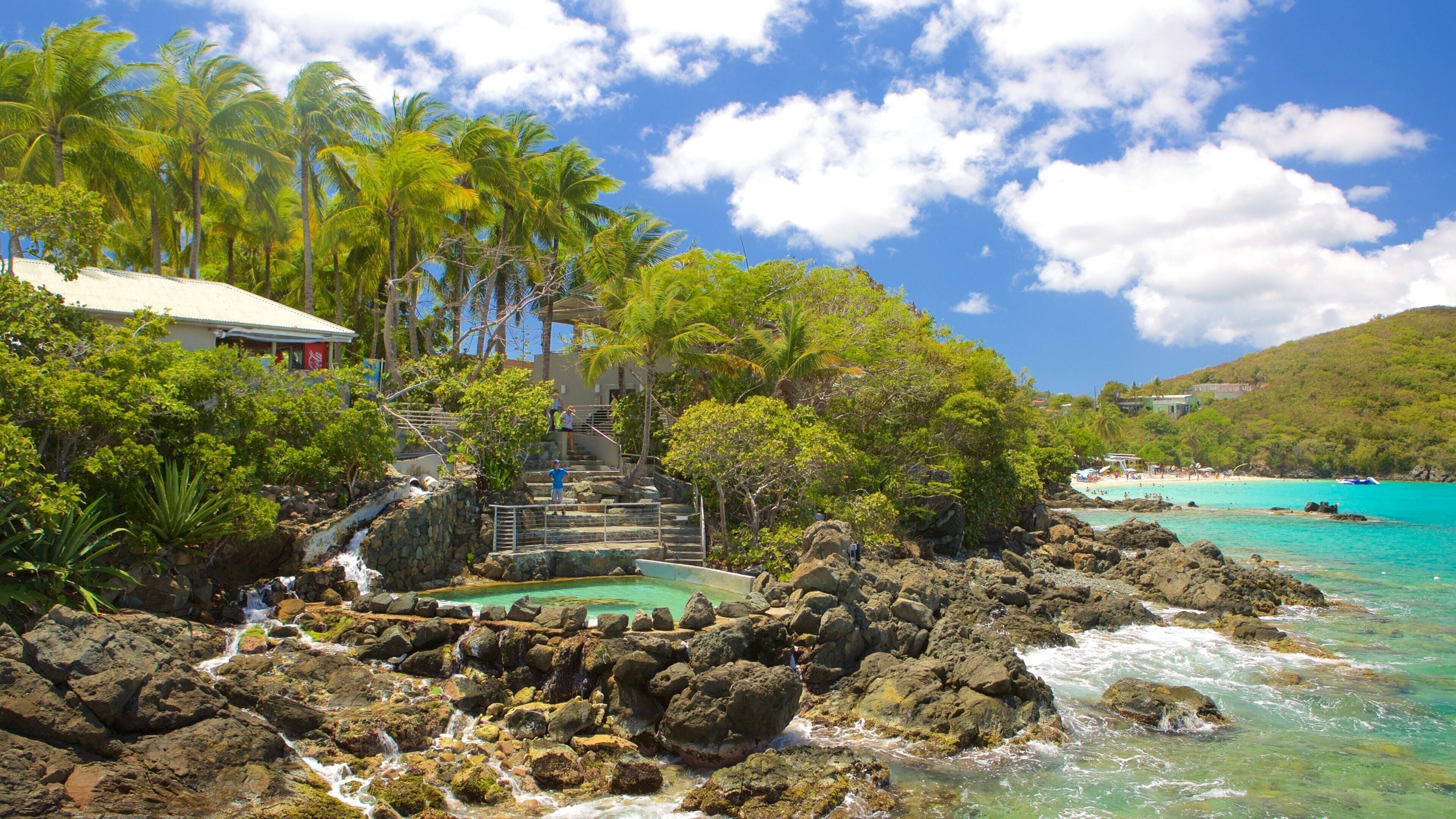 Coral World Ocean Park showing general coastal views and marine life