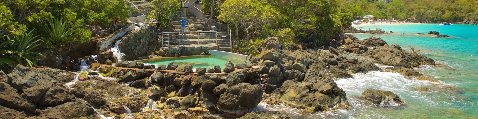 Coral World Ocean Park featuring marine life and general coastal views