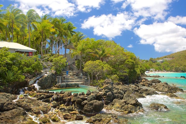 Coral World Ocean Park featuring marine life and general coastal views