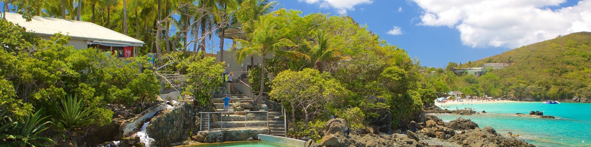 Coral World Ocean Park featuring marine life and general coastal views