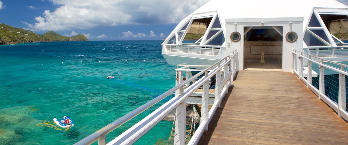 Parque Coral World Ocean que incluye vistas generales de la costa y vida marina