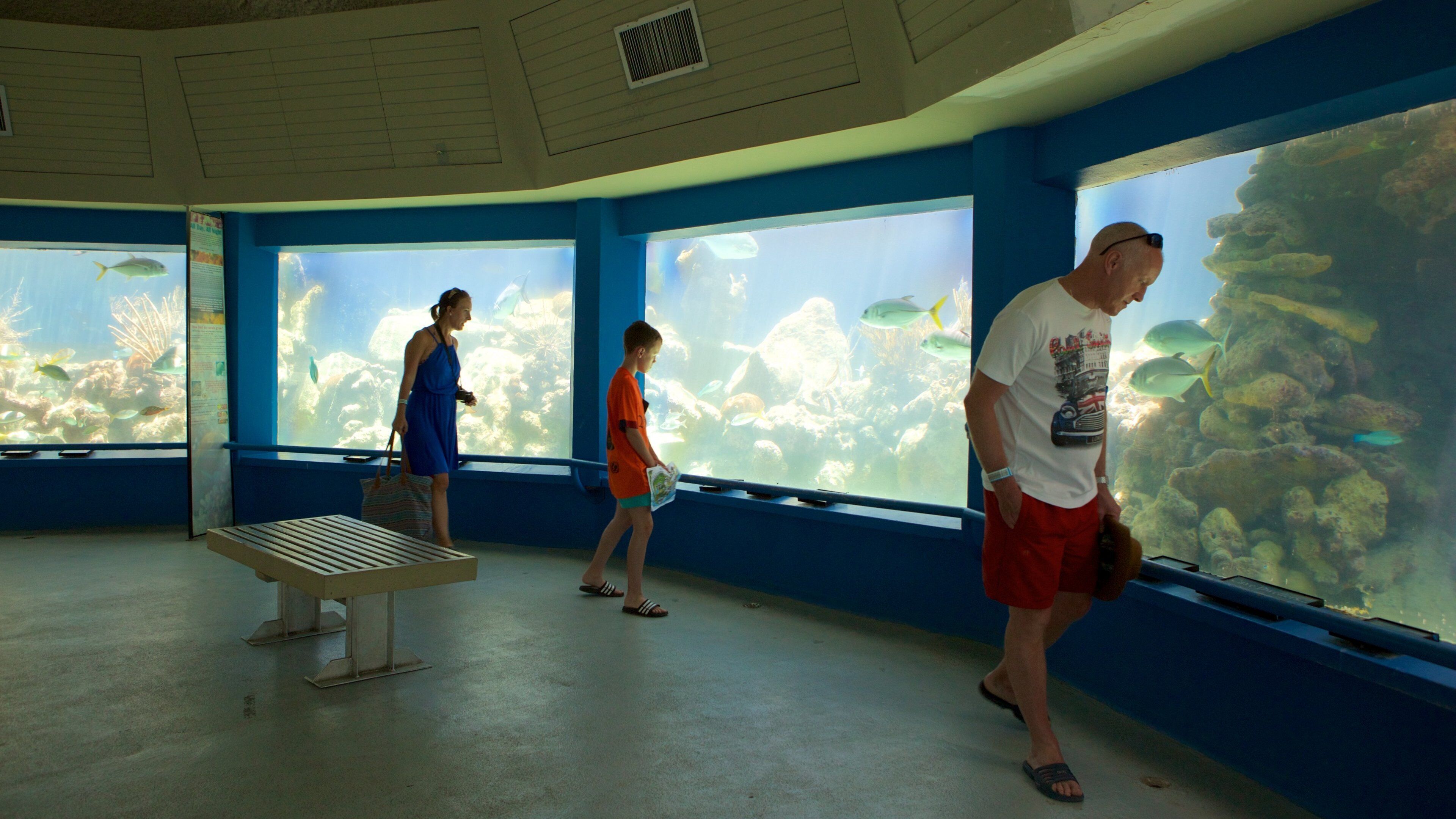 Coral World Ocean Park featuring marine life as well as a small group of people