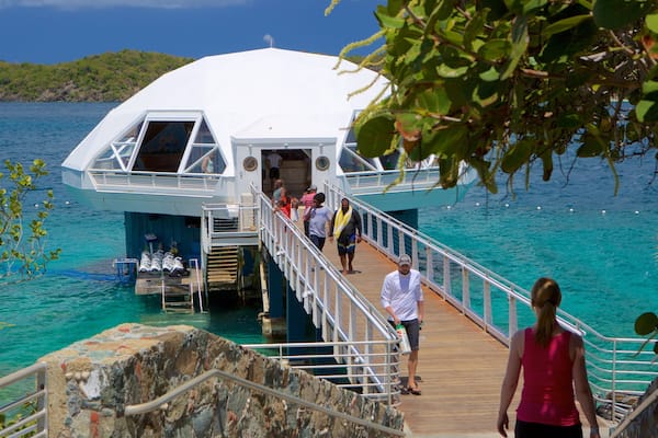 Coral World Ocean Park welches beinhaltet Meeresbewohner und allgemeine Küstenansicht sowie kleine Menschengruppe