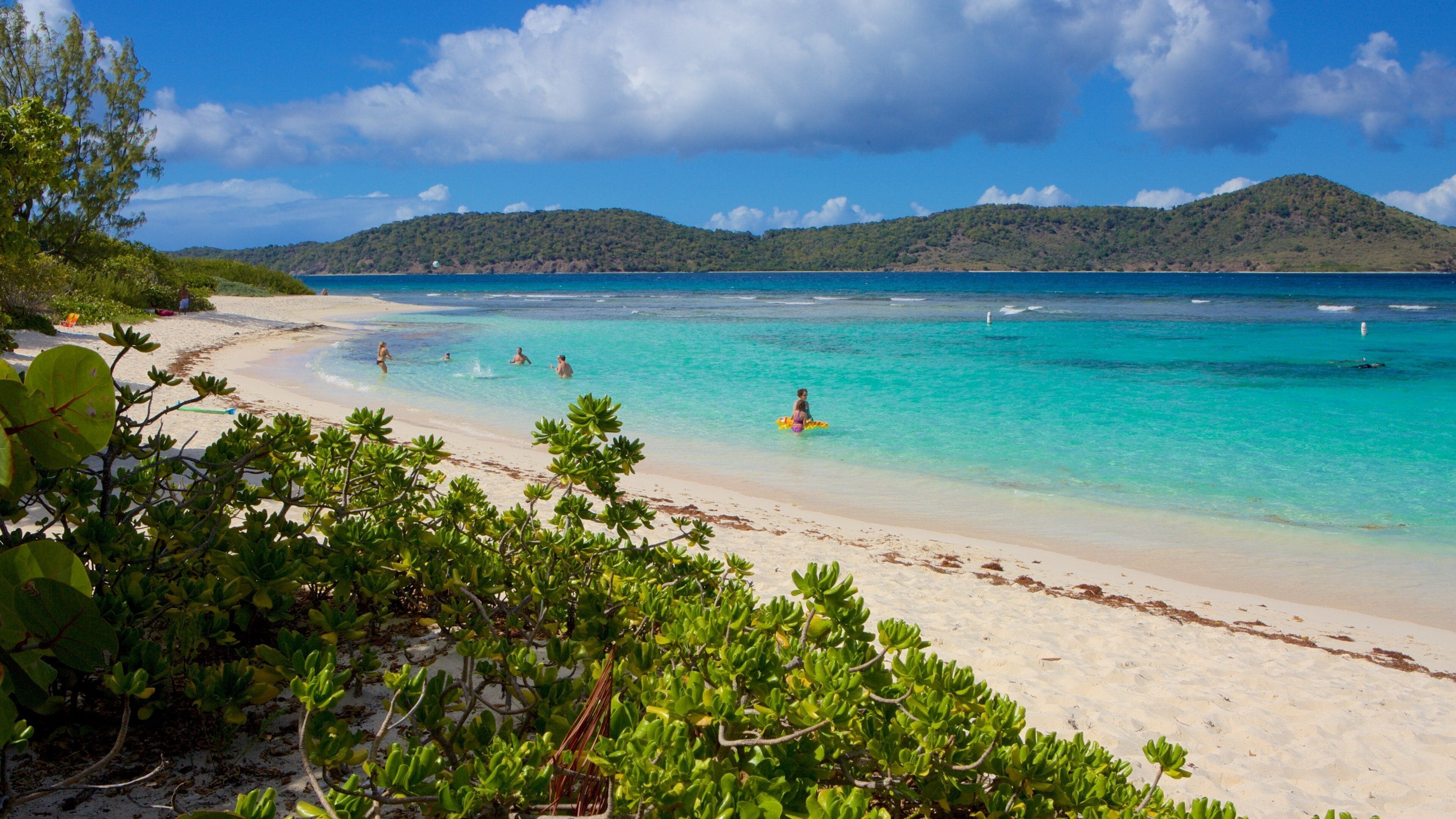 Smith Bay Beach which includes tropical scenes and a sandy beach