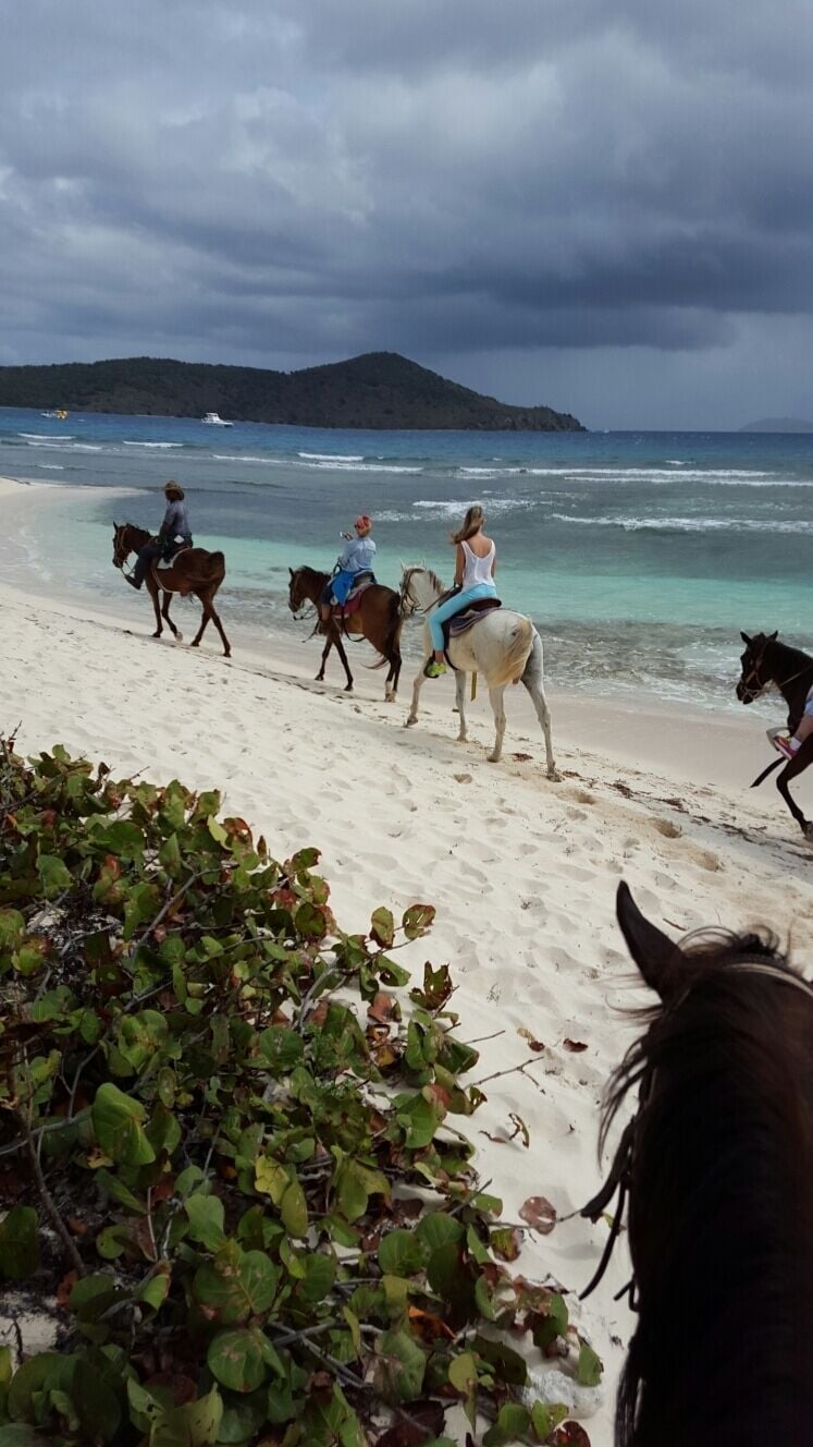 Horseback riding on Lindquist, Usvi, St. Thomas