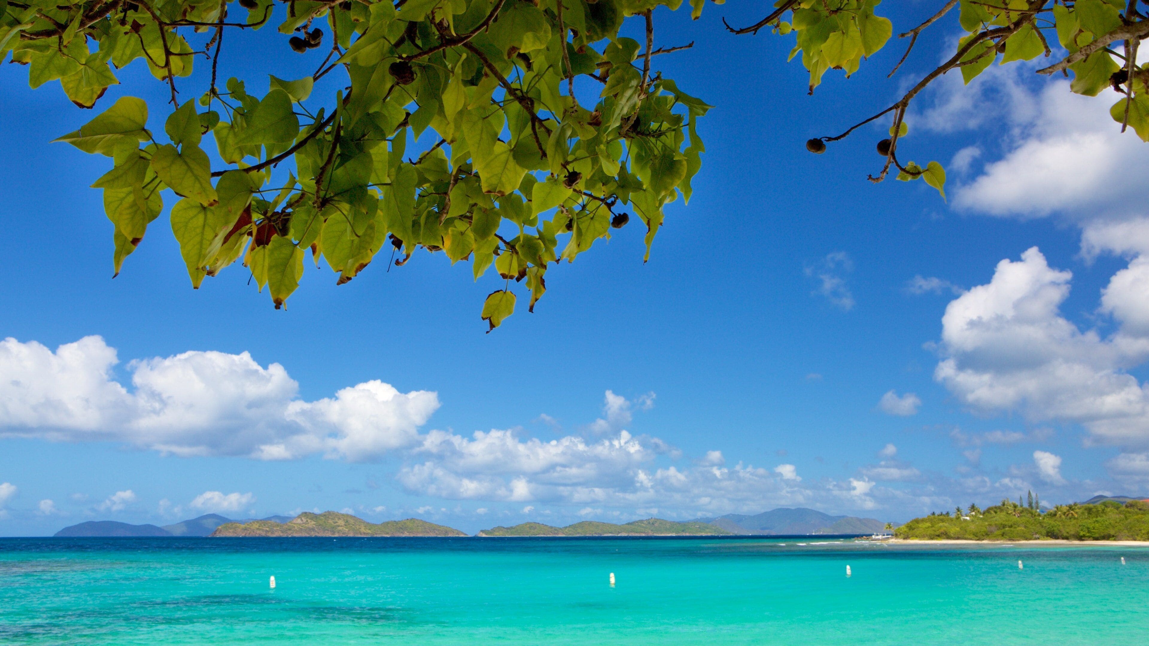 Smith Bay Beach showing general coastal views and tropical scenes