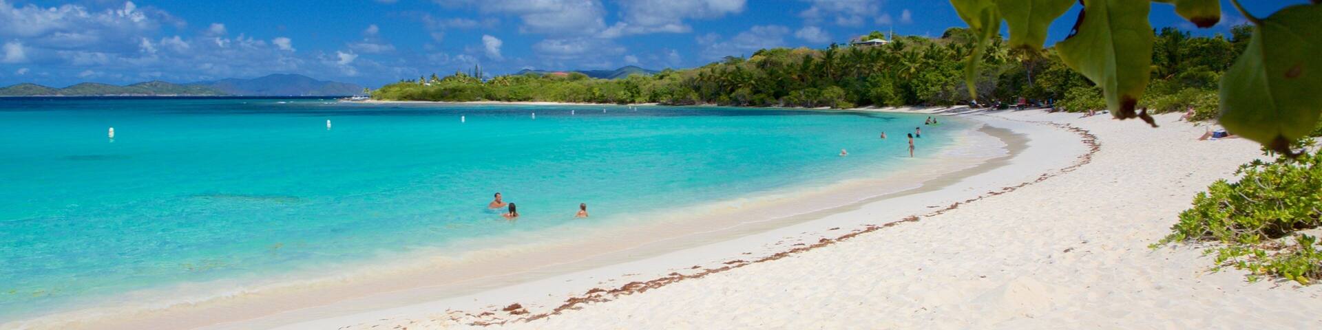 Smith Bay Beach which includes tropical scenes and a beach