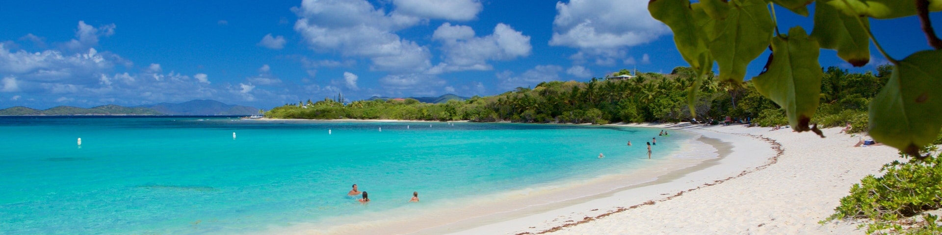 Smith Bay Beach which includes tropical scenes and a beach